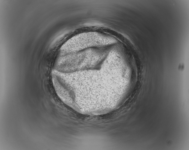 X0000111660967200908071429