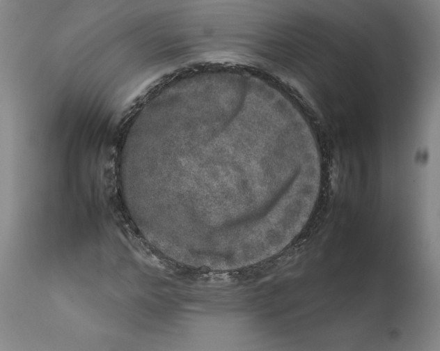 X0000111660968200908071429