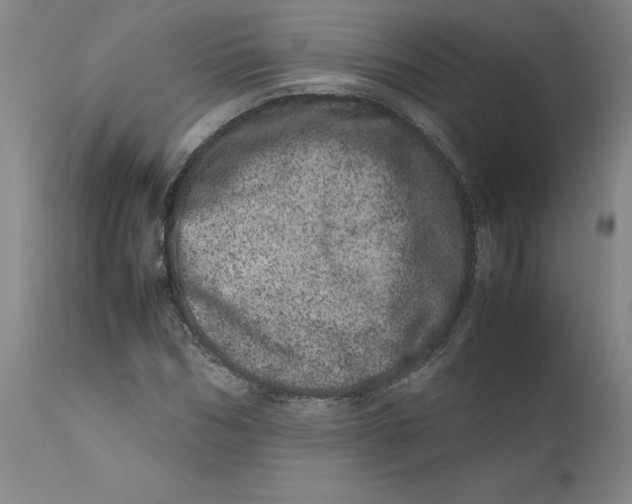 X0000111660970200908071429