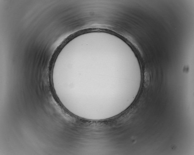 X0000111660972200908071429