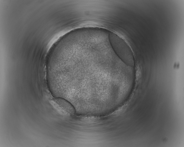 X0000111660973200908071429