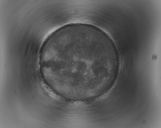 X0000111660974200908071429