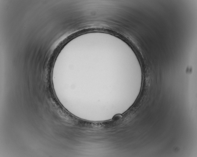 X0000111660975200908071429