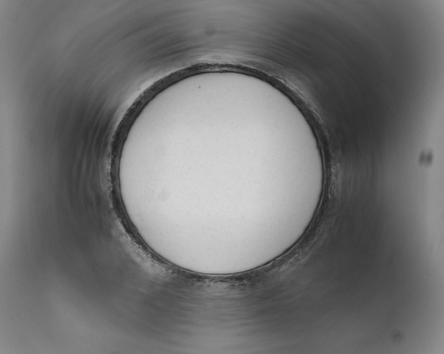 X0000111660976200908071429