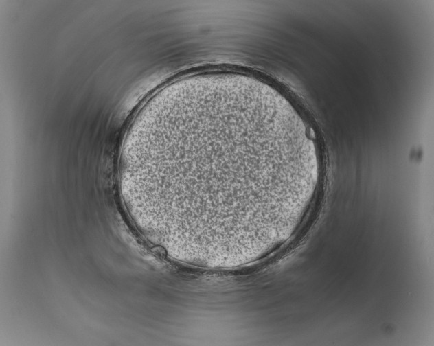 X0000111660977200908071429