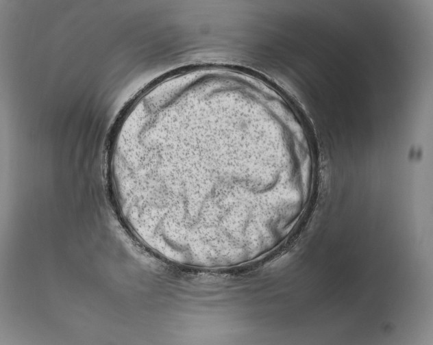 X0000111660981200908071429