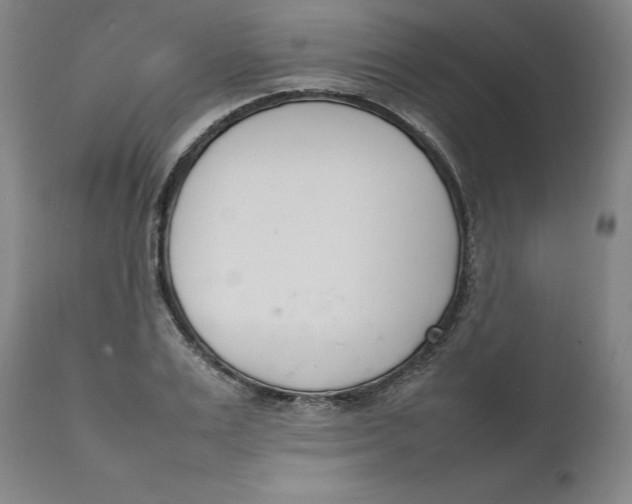 X0000111660983200908071429