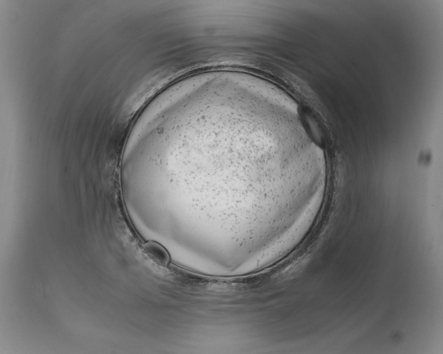 X0000111660985200908071429