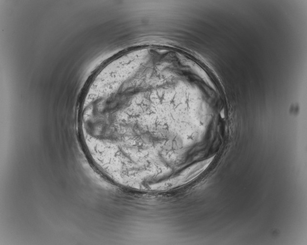 X0000111660987200908071429