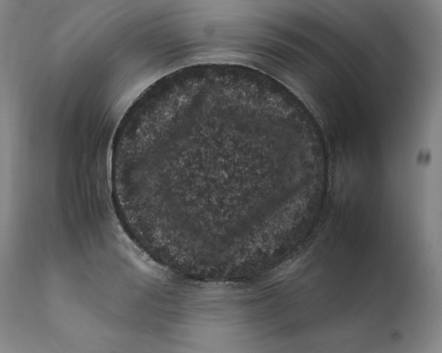 X0000111660988200908071429