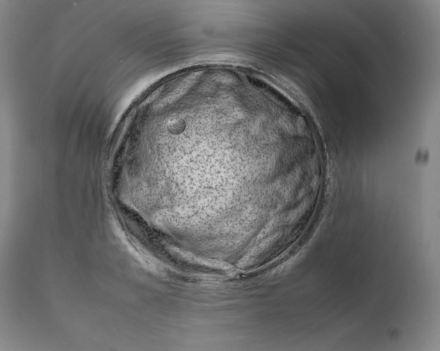 X0000111660989200908071429