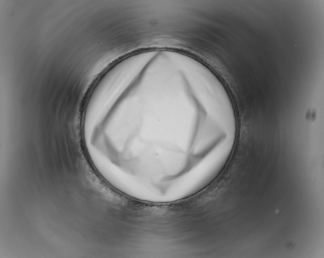 X0000111660990200908071429