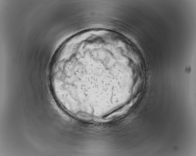 X0000111660991200908071429