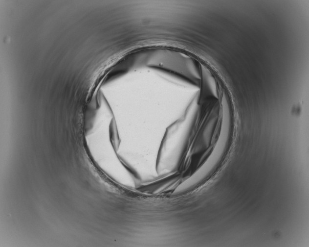 X0000111660993200908071429