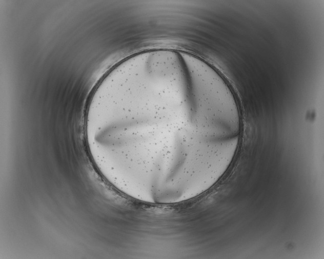 X0000111660994200908071429