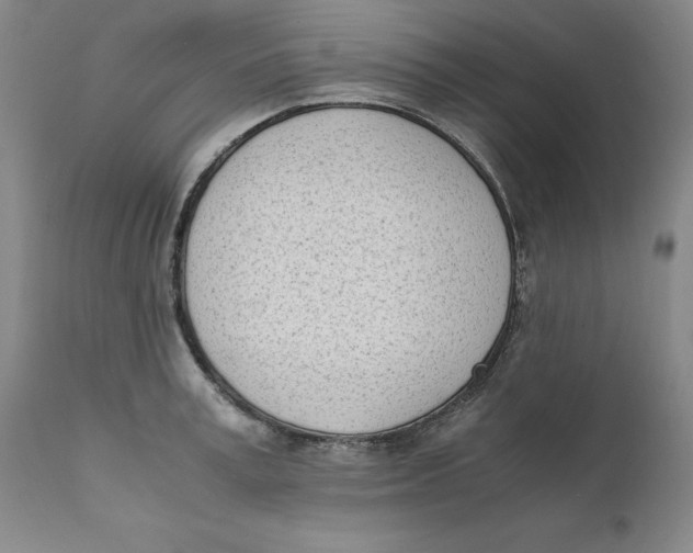 X0000111660995200908071429