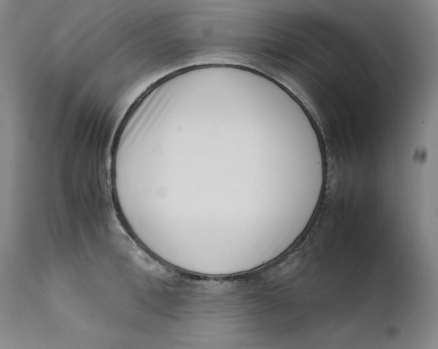 X0000111660996200908071429