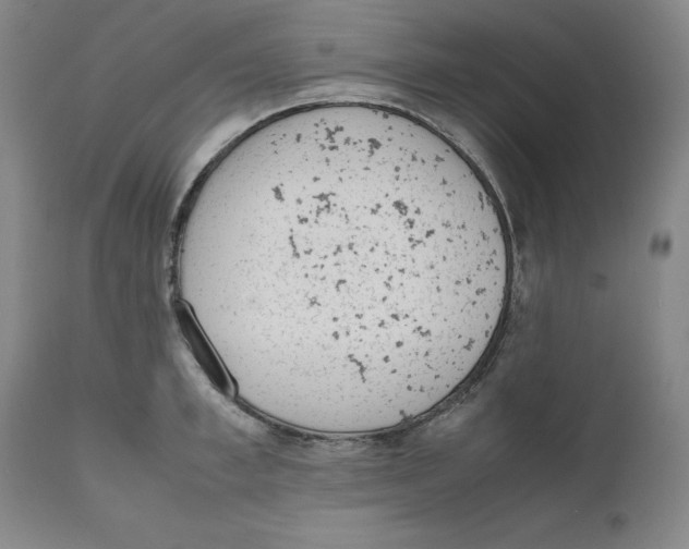 X0000111660997200908071428