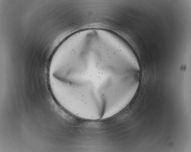 X0000111660998200908071428