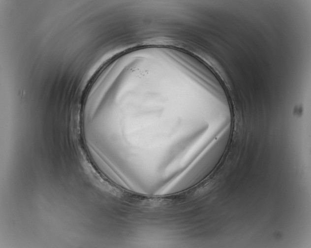 X0000111661000200908071428