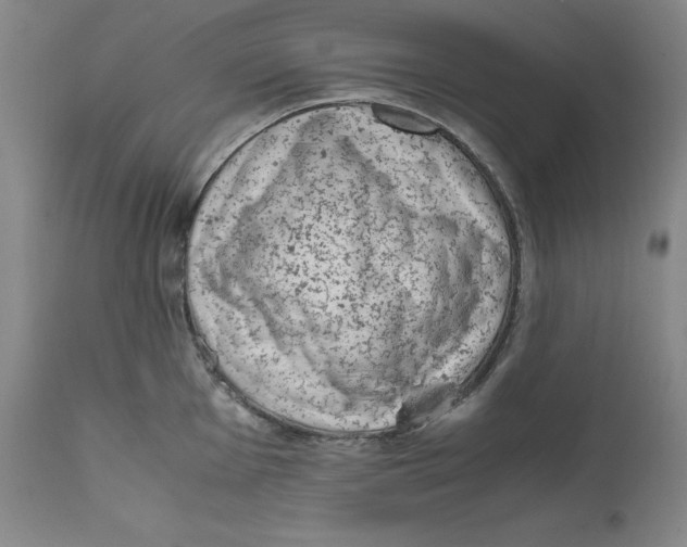 X0000111661001200908071428