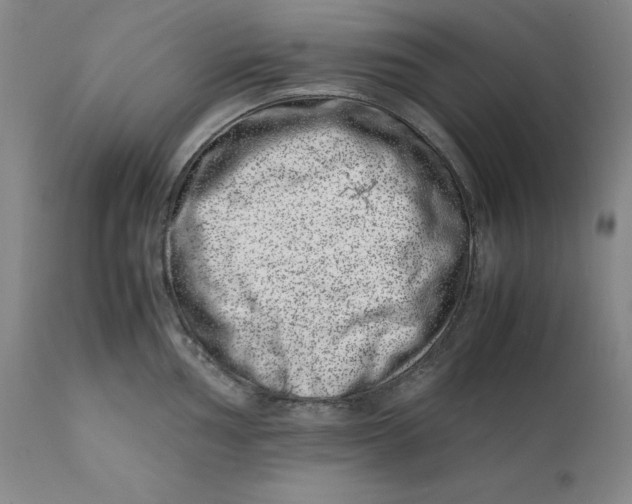 X0000111661002200908071428