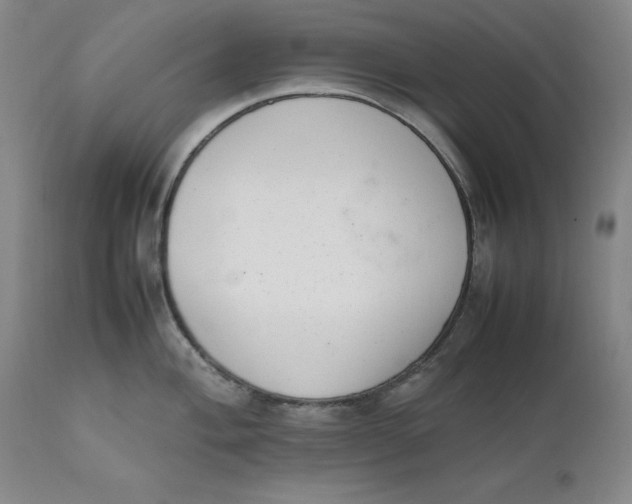 X0000111661004200908071428