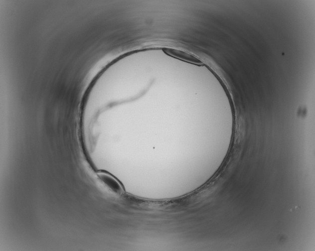 X0000111661005200908071428