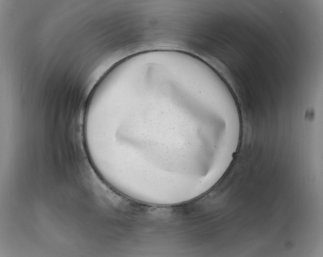 X0000111661006200908071428