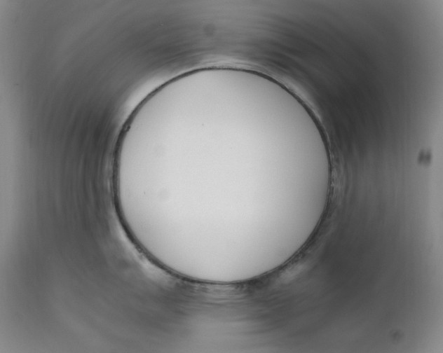 X0000111661007200908071428