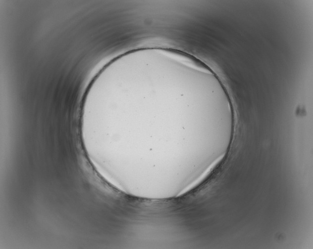 X0000111661008200908071428