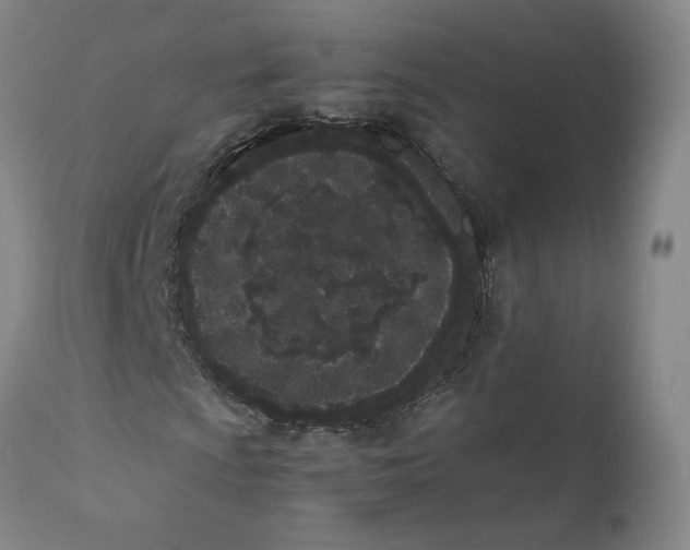 X0000111661009200908071428