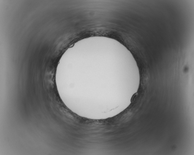 X0000111661010200908071428