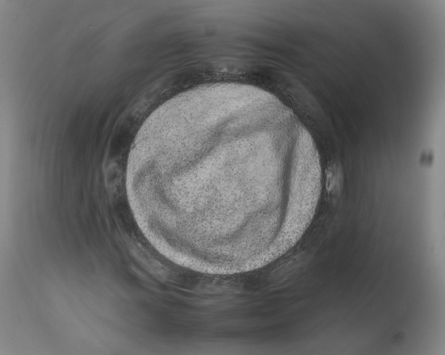 X0000111661011200908071428