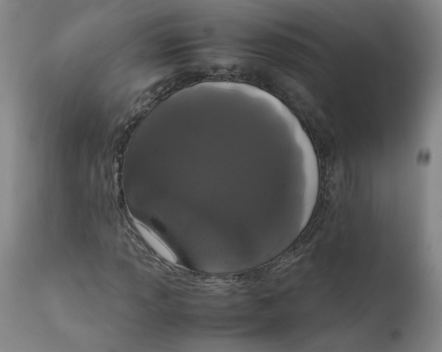 X0000111661013200908071428