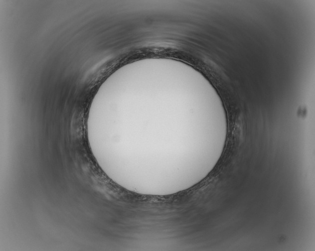 X0000111661014200908071428