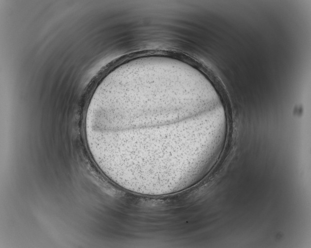 X0000111661019200908071428