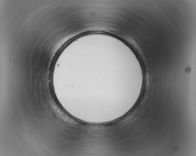 X0000111661020200908071428