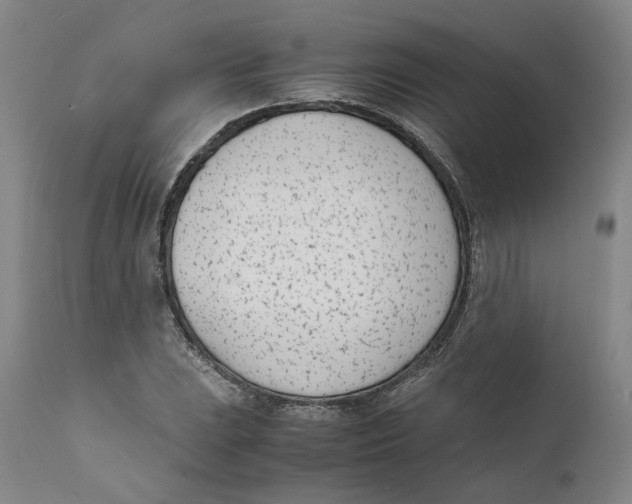 X0000111661023200908071428