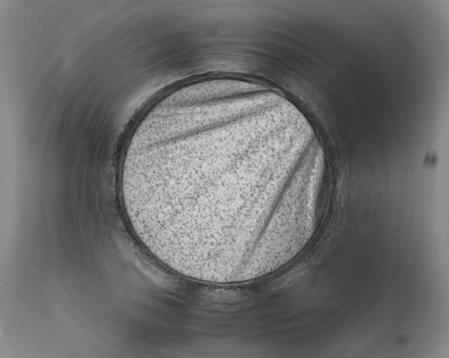 X0000111661027200908071428