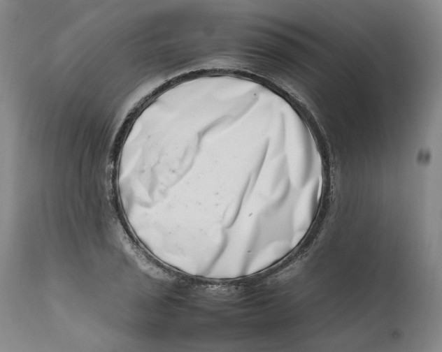 X0000111661029200908071428