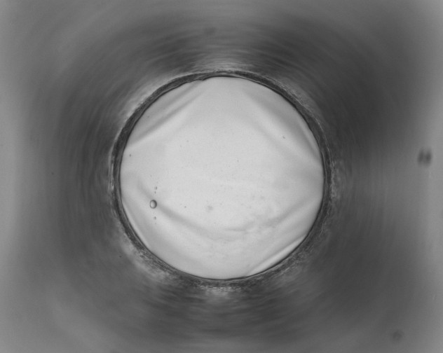 X0000111661031200908071428