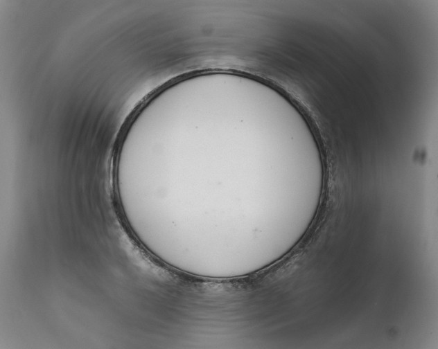 X0000111661032200908071428