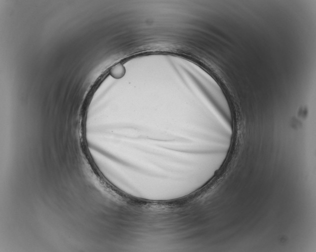 X0000111661034200908071428