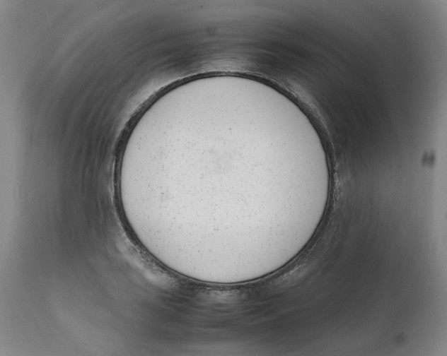 X0000111661035200908071428