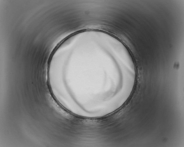 X0000111661036200908071428