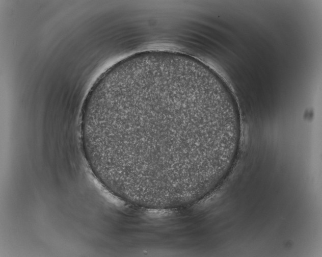 X0000111661037200908071428