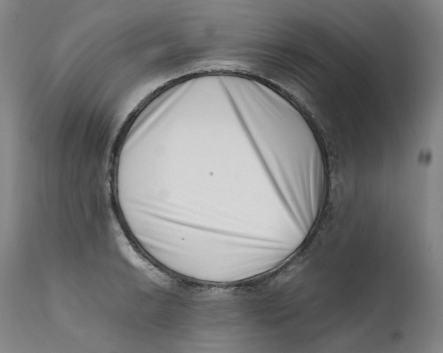 X0000111661038200908071428