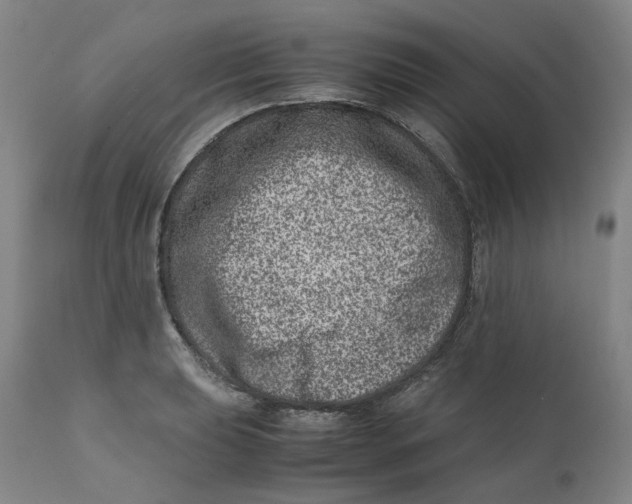 X0000111661039200908071428