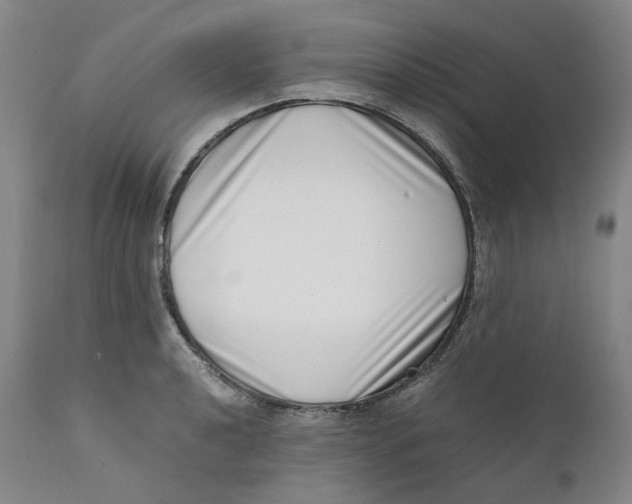 X0000111661040200908071428